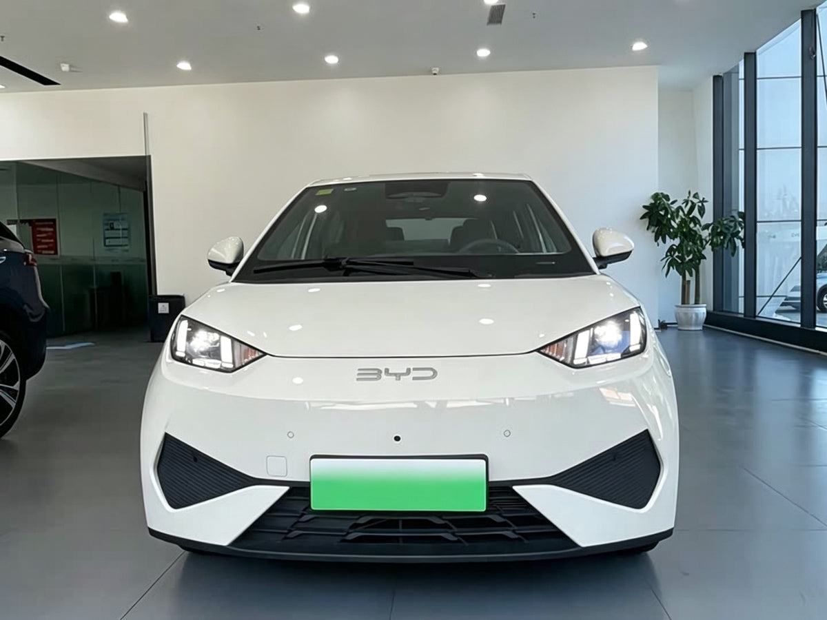 2025 BYD Seagull 305km Smart Driving Edition (White)