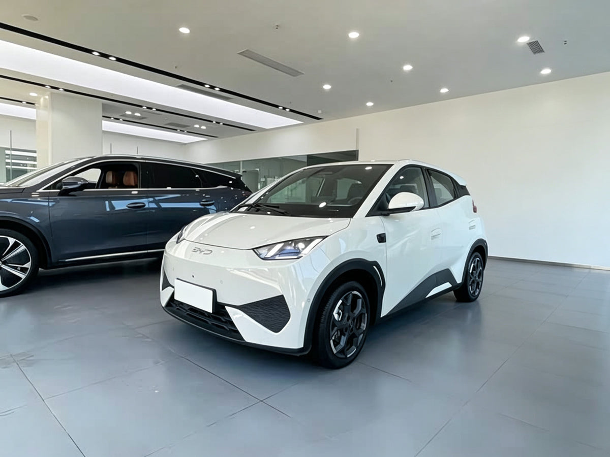 2025 BYD Seagull 305km Smart Driving Edition (White)