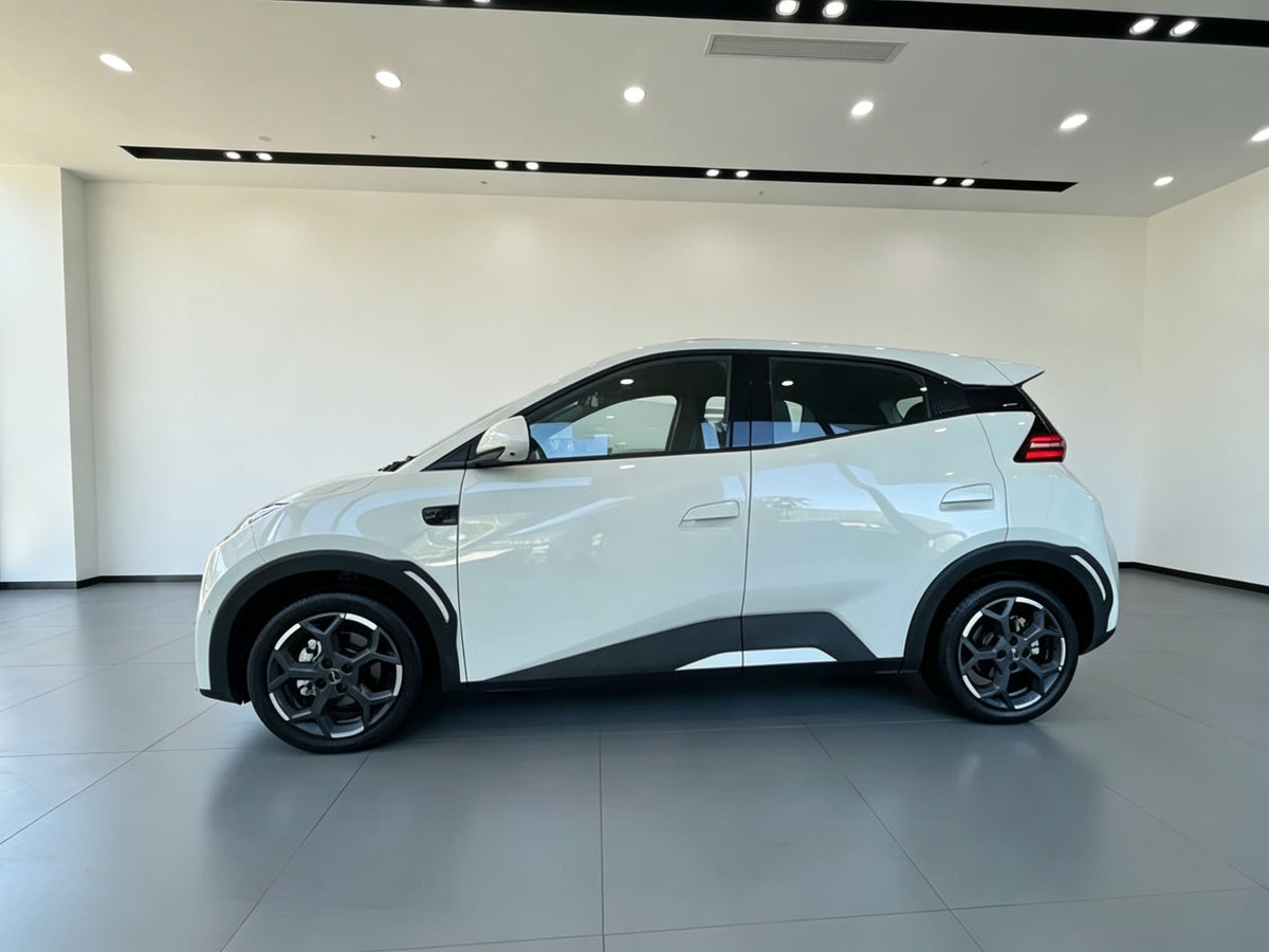 2025 BYD Seagull 305km Smart Driving Edition (White)