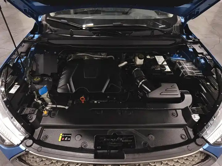 2021 Haval Chulian (First Love) 1.5T Auto Dasi Edition