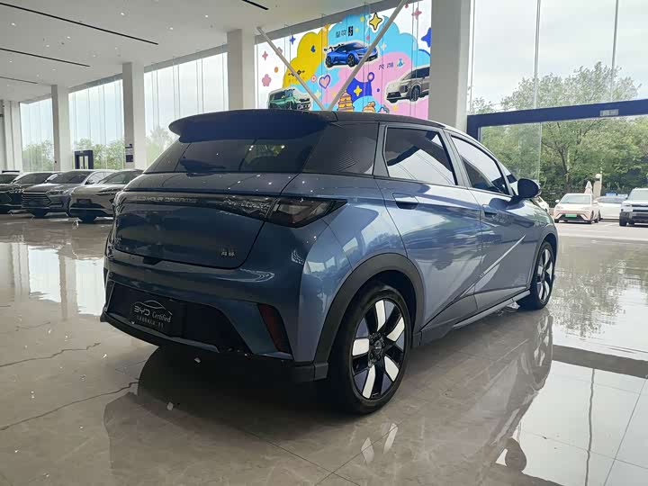 2024 BYD Dolphin 401km Knight Edition (Blue)