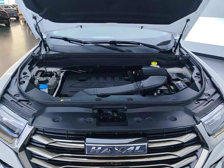 2023 Haval H6 Guochao 1.5T Auto Champion