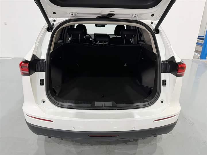 2024 Haval H6 2.0T AWD Max (White) - Used SUV Export Ready