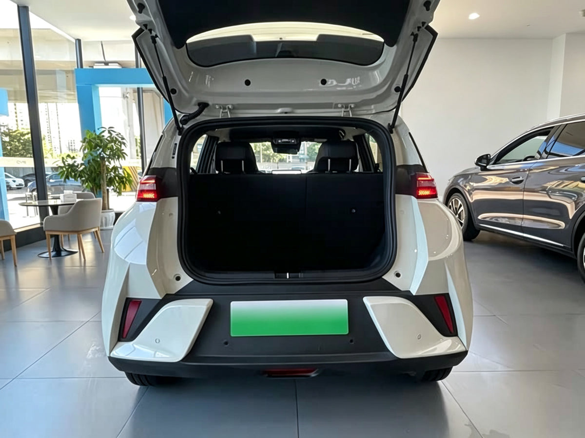 2025 BYD Seagull 305km Smart Driving Edition (White)