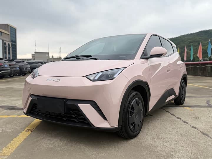 2024 BYD Seagull 405km Honor Edition Long Range EV