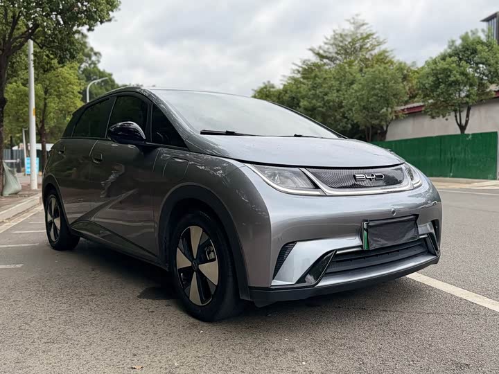 2023 BYD Dolphin 420km Free Edition Electric Hatch