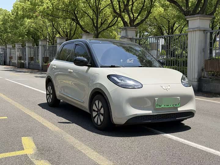 2023 Wuling Bingo 333km City Electric Hatchback - 