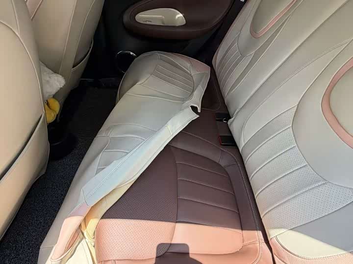 2023 Wuling Bingo 333km City Electric Hatchback - 