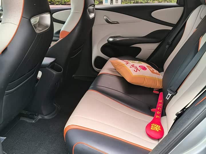BYD Dolphin 2021 405km SUV - Export Ready LHD