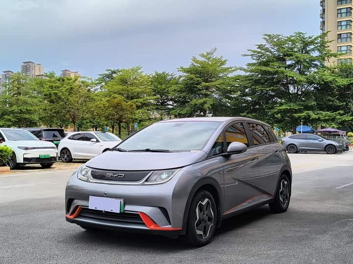 BYD Dolphin 2021 405km SUV - Export Ready LHD