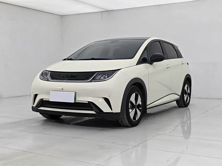 BYD Dolphin 2023 420km SUV - Export Ready LHD