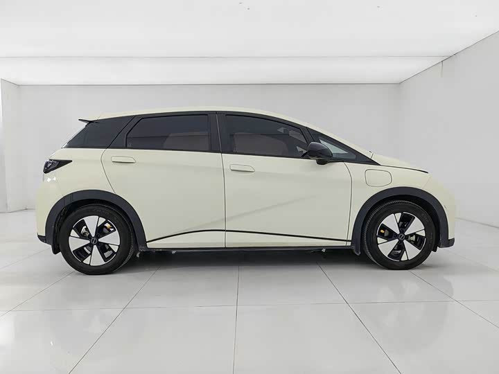 BYD Dolphin 2023 420km SUV - Export Ready LHD